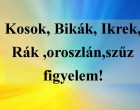 Kosok, Bikák, Ikrek,Rák ,oroszlán,szűz figyelem hatalmas változást hoz a mai nap!Mai horoszkóp (hétfő)