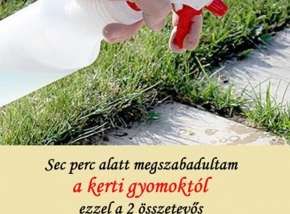 Sec perc alatt megszabadultam a kerti gyomoktól ezzel a 2 összetevős házi gyomirtó spray-vel: csak ráfújtam, és viszlát!