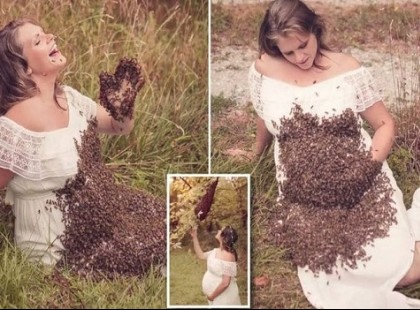 A hölgy, aki méhekkel borított pocakkal készített babaváró fotókat, tragikus hírekről számolt be.