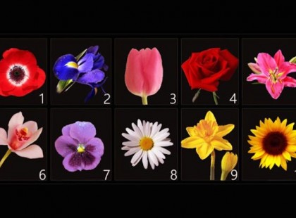 Válassz egy virágot, és ismerd meg személyiséged legkülönlegesebb vonásait!