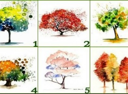 Válassz egy fát, elmondjuk mi a személyiséged fő erénye! Ránk nagyon igaz!