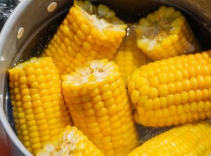 Elszólta magát egy séf: ez a tökéletes főtt kukorica titka, amit mindenki rosszul csinál!