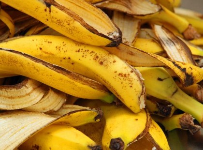 Összeturmixolta a banánhéjat, kávézaccal és tojáshéjjal. Amit ezután tesz, azt mi is kipróbáltuk, és most már mindig UGYANÍGY fogjuk csinálni: