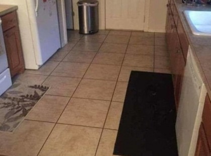 20 próbálkozóból csak 1 találja meg a fotón a kutyát – akinek olyan makulátlan a látása, mint a sasé