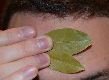 Ez történik, ha homlokodra babérlevelet teszel! Elképesztő!