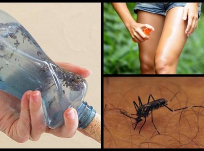 A barátnőm mutatta ezt a szúnyogriasztó receptet – azóta nemhogy nem csípnek össze, de még a döngicsélést se kell hallgatnom