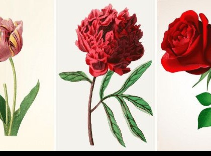 Válassz egy virágot: mindent megtudhatsz a személyiségedről, amiről eddig fogalmad sem volt