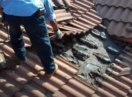 A munkások épp a régi a rossz cserepeket távolítják el, amikor motozást hallanak - azon nyomban siettek a kameráért: