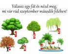 Válassz egy fát és nézd meg, mi vár rád szeptember második felében!