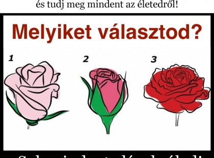 Bökj rá egy rózsára, és tudj meg mindent az életedről: Sok mindent elárul rólad!