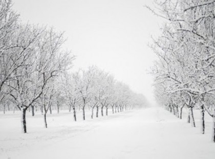 Most már biztos: Az elmúlt 100 év egyik leghidegebb és a leghosszabb tele jön most! Itt az oka!
