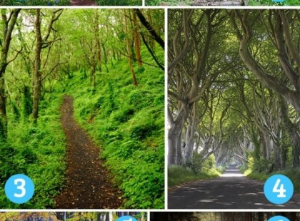 Válassz egy ösvényt és olvasd el mit ír rólad. Az enyém tökéletesen igaz!