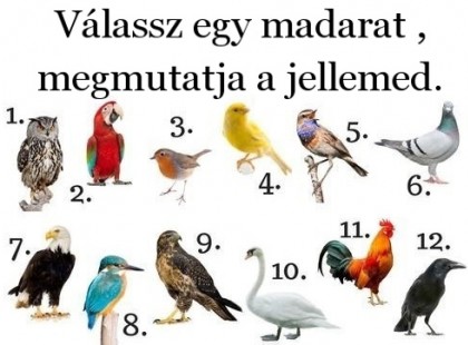 Válassz egy madarat ,megmutatja a jellemed.