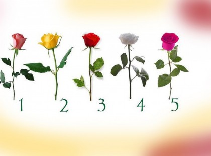 Válassz egy rózsát! Döntésedből kiderül, mikor teljesül be a kívánságod
