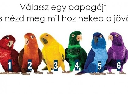 Válassz egy papagájt és nézd meg mit hoz neked a jövő!