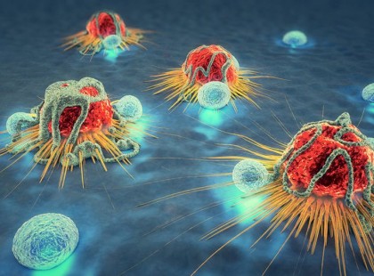 Ez a 8 ÉTEL valósággal 