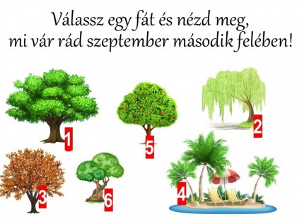 Válassz egy fát és nézd meg, mi vár rád szeptember második felében!
