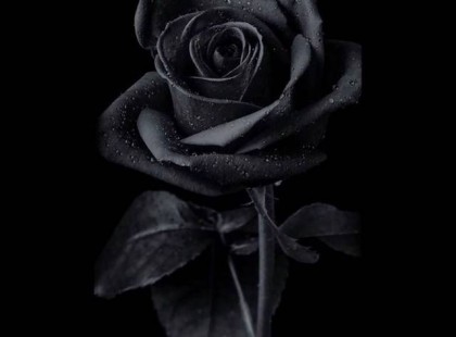 Gyász: Meghalt a diszkókirálynő, akinek máig az egyik legnagyobb diszkóslágert köszönhetjük A cikk a hozzászólásoknál olvasható!