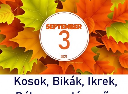 Kosok, Bikák, Ikrek,Rák ,oroszlán,szűz figyelem hatalmas változást hoz a mai nap!Mai horoszkóp (péntek)