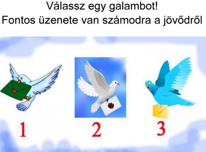 Bökj rá egy galambra! Fontos üzenete van számodra a jövődről