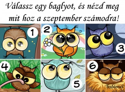 Válassz egy baglyot, és nézd meg mit hoz a szeptember számodra!