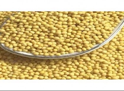 Végez az emberi szervezetben a gombákkal és baktériumokkal, stabilizálja a vérnyomást: mi lehet ez?