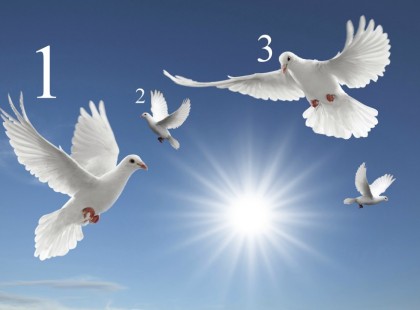 Válassz egy galambot, ami megmutatja hogy indul majd a 2022 -es éved