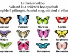 Lepkehoroszkóp: Válaszd ki a születési hónapodnak megfelelő pillangót, és nézd meg, mit árul el rólad
