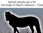 Melyik irányba néz a ló? Ezt árulja el rólad a válaszod – Teszt