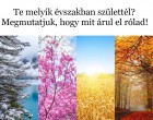 Te melyik évszakban születtél? Megmutatjuk, hogy mit árul el rólad