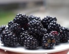 Rákmegelőzés élharcosa -Csökkenti a koleszterinszintet és az érelmeszesedést,Növényi rostjai segítik az emésztést, csökkentik a cukorbetegség kialakulásának valószínűségét – Kitalálod mi van a képen?