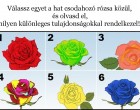 Válassz egyet a hat csodahozó rózsa közül, és olvasd el, milyen különleges tulajdonságokkal rendelkezel!