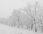 Farkasordító hideg jön:Borzalmasan hideg tél vár ránk! ITT NAGY 4 HÓNAPOS előrejelezés : NOVEMBERRE, DECEMBERRE, JANUÁRRA, FEBRUÁRRA!