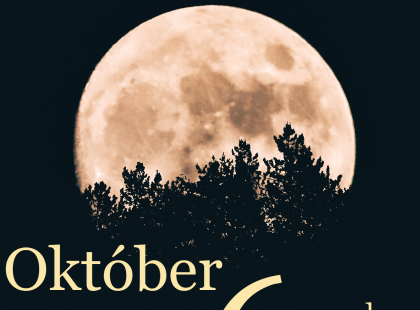 Kosok, Bikák, Ikrek,Rák ,oroszlán,szűz figyelem hatalmas változást hoz a holnap!Holnapi horoszkóp (szerda)