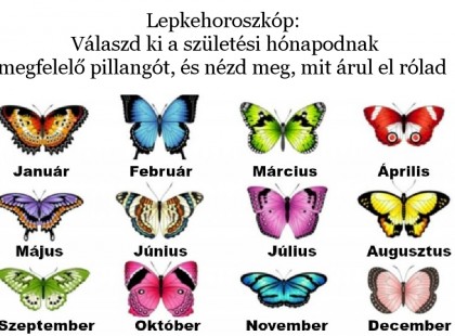 Lepkehoroszkóp: Válaszd ki a születési hónapodnak megfelelő pillangót, és nézd meg, mit árul el rólad