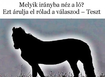 Melyik irányba néz a ló? Ezt árulja el rólad a válaszod – Teszt