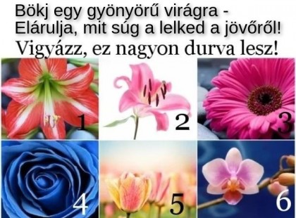 Bökj egy gyönyörű virágra – Elárulja, mit súg a lelked a jövőről! Vigyázz, ez nagyon durva lesz!