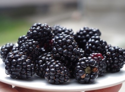 Rákmegelőzés élharcosa -Csökkenti a koleszterinszintet és az érelmeszesedést,Növényi rostjai segítik az emésztést, csökkentik a cukorbetegség kialakulásának valószínűségét – Kitalálod mi van a képen?