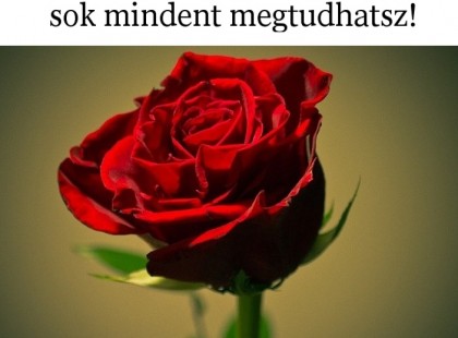 Nézd meg a virág horoszkópod, sok mindent megtudhatsz!