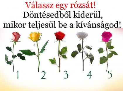 Kívánj valamit, majd válassz egyet a rózsák közül!Döntésedből kiderül, mikor teljesül be a kívánságod