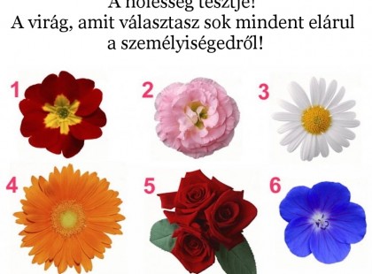 A nőiesség tesztje! A virág, amit választasz sok mindent elárul a személyiségedről!