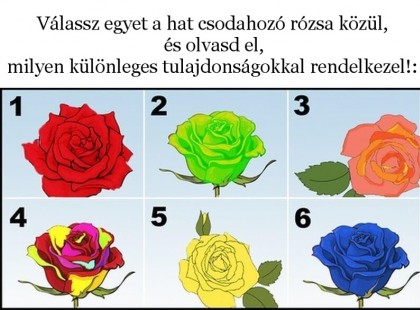 Válassz egyet a hat csodahozó rózsa közül, és olvasd el, milyen különleges tulajdonságokkal rendelkezel!