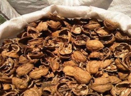 Csillapítja a köhögést, jó megfázásra, tele van vitaminnal, de mégsem használja senki – Te tudod mi ez?