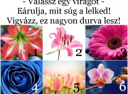 - Válassz egy virágot - Eárulja, mit súg a lelked! Vigyázz, ez nagyon durva lesz!