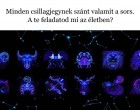 Minden csillagjegynek szánt valamit a sors. A te feladatod mi az életben?