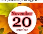 Kosok, Bikák, Ikrek,Rák ,oroszlán,szűz figyelem hatalmas változást hoz a holnapi nap!Holnapi horoszkóp (szombat)