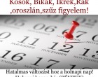 Kosok, Bikák, Ikrek,Rák ,oroszlán,szűz figyelem hatalmas változást hoz a holnapi nap!Holnapi horoszkóp(PÉNTEK)
