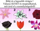 Melyik virágot tartod a legszebbnek az alábbiak közül? Válassz és megtudhatod, mit árul el a személyiségedről!