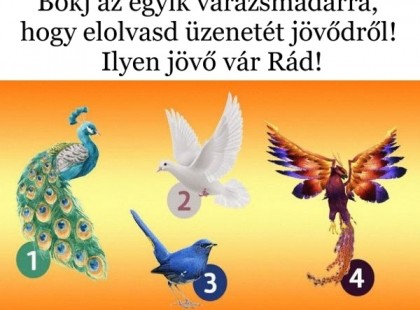 Bökj az egyik varázsmadárra, hogy elolvasd üzenetét jövődről! Ilyen jövő vár Rád!