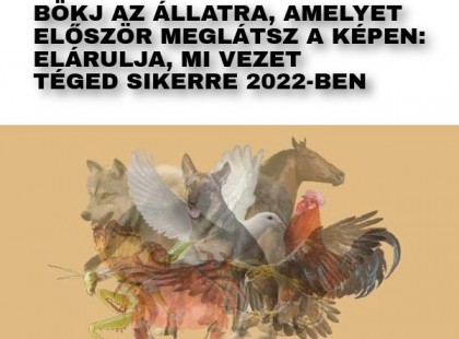 Amelyik állatot először látod meg a képen, elárulja, mi vár rád 2022-ben